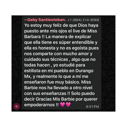 La Biblia del Peinador Exitoso by Barbie Madrid (Mini)